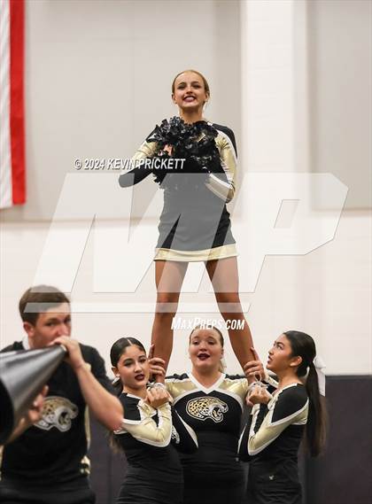 Thumbnail 1 in Best of the Nest Cheer photogallery.