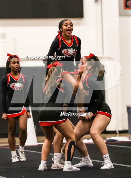 Thumbnail 3 in Best of the Nest Cheer photogallery.
