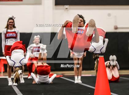 Thumbnail 2 in Best of the Nest Cheer photogallery.