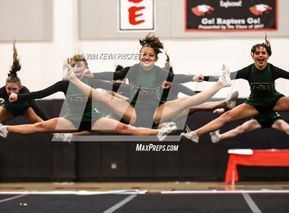 Thumbnail 3 in Best of the Nest Cheer photogallery.
