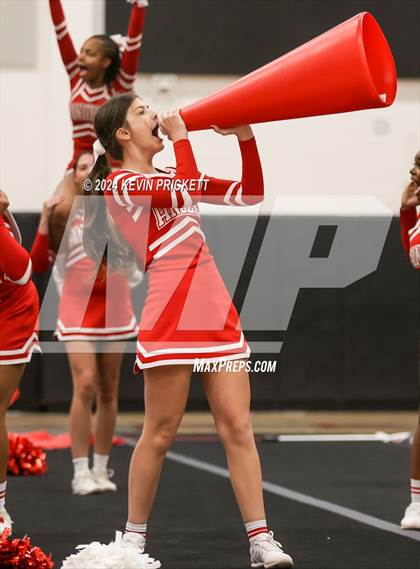Thumbnail 3 in Best of the Nest Cheer photogallery.