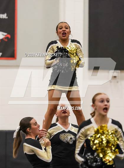 Thumbnail 3 in Best of the Nest Cheer photogallery.