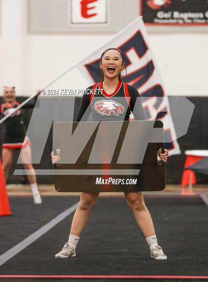 Thumbnail 2 in Best of the Nest Cheer photogallery.