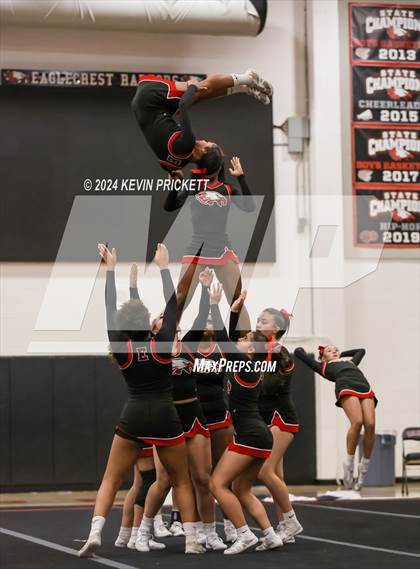 Thumbnail 3 in Best of the Nest Cheer photogallery.