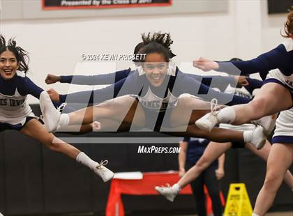 Thumbnail 2 in Best of the Nest Cheer photogallery.