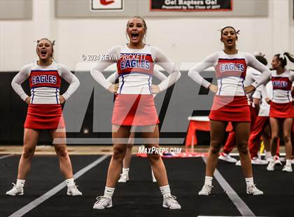 Thumbnail 2 in Best of the Nest Cheer photogallery.