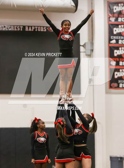 Thumbnail 2 in Best of the Nest Cheer photogallery.