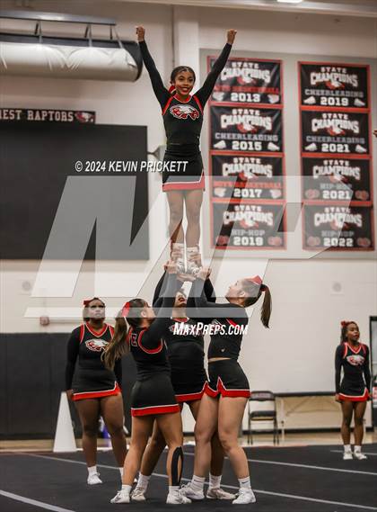 Thumbnail 2 in Best of the Nest Cheer photogallery.