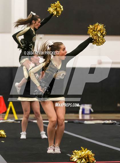 Thumbnail 2 in Best of the Nest Cheer photogallery.