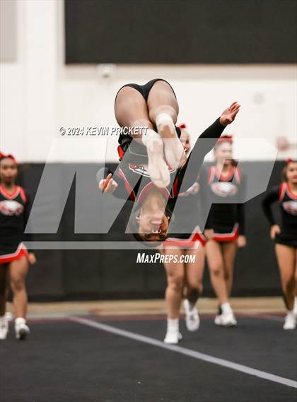 Thumbnail 1 in Best of the Nest Cheer photogallery.