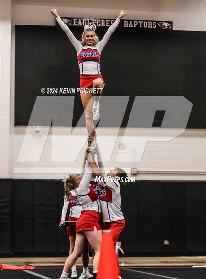 Thumbnail 1 in Best of the Nest Cheer photogallery.