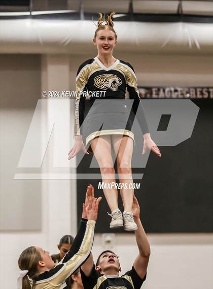 Thumbnail 2 in Best of the Nest Cheer photogallery.