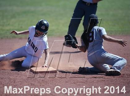 Thumbnail 2 in Desert View vs Sabino (Tucson High Badger Invitational) photogallery.