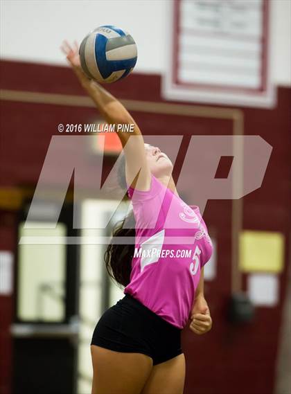 Thumbnail 3 in Wallkill @ Kingston photogallery.