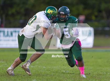 Thumbnail 1 in Ward Melville @ William Floyd photogallery.