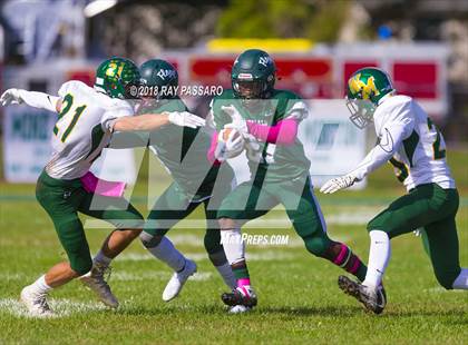 Thumbnail 1 in Ward Melville @ William Floyd photogallery.