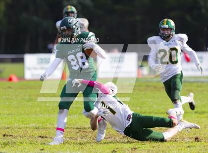 Thumbnail 1 in Ward Melville @ William Floyd photogallery.
