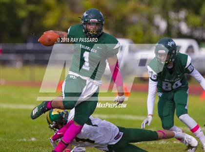 Thumbnail 2 in Ward Melville @ William Floyd photogallery.