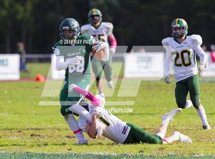 Thumbnail 2 in Ward Melville @ William Floyd photogallery.