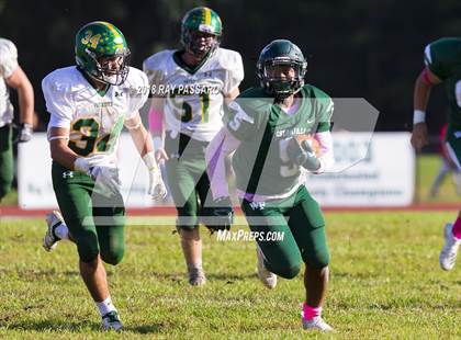 Thumbnail 1 in Ward Melville @ William Floyd photogallery.