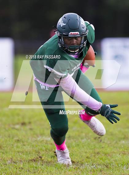 Thumbnail 1 in Ward Melville @ William Floyd photogallery.