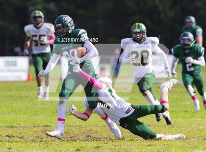 Thumbnail 3 in Ward Melville @ William Floyd photogallery.
