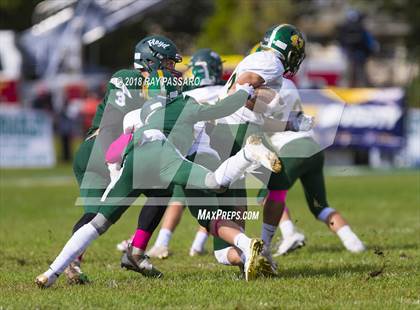 Thumbnail 2 in Ward Melville @ William Floyd photogallery.