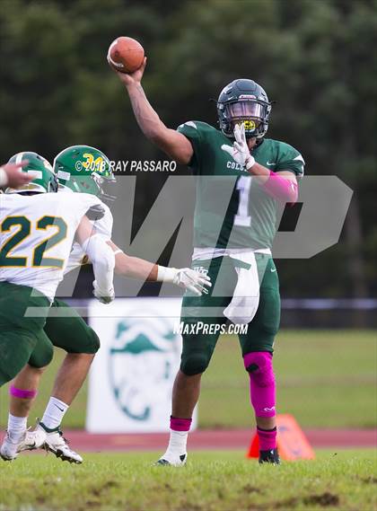 Thumbnail 3 in Ward Melville @ William Floyd photogallery.