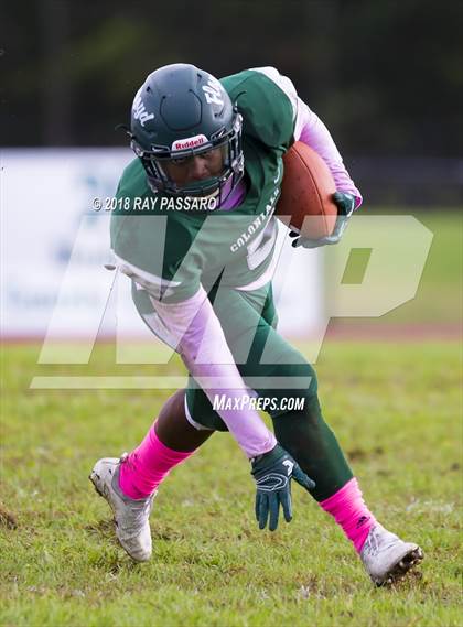 Thumbnail 2 in Ward Melville @ William Floyd photogallery.