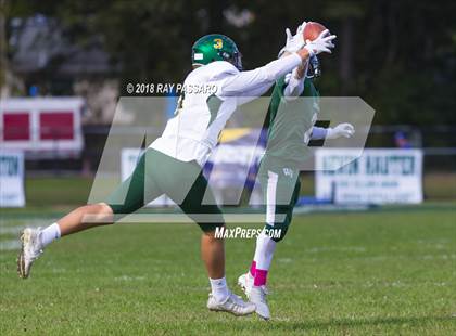 Thumbnail 2 in Ward Melville @ William Floyd photogallery.