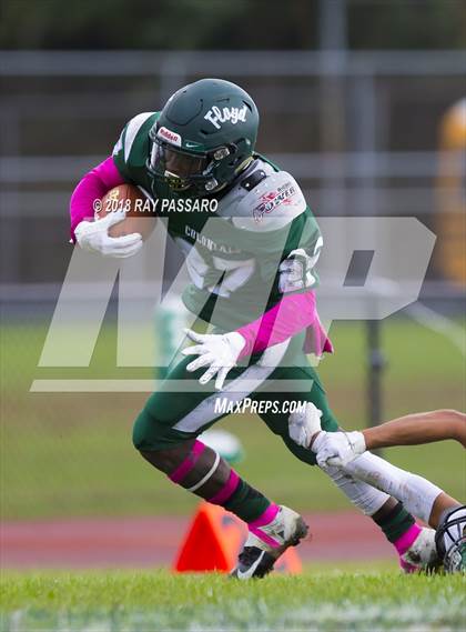 Thumbnail 1 in Ward Melville @ William Floyd photogallery.