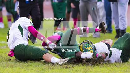 Thumbnail 1 in Ward Melville @ William Floyd photogallery.