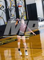 Photo from the gallery "Mildred @ Palmer"