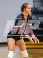 Photo from the gallery "Mildred @ Palmer"