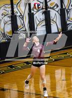 Photo from the gallery "Mildred @ Palmer"