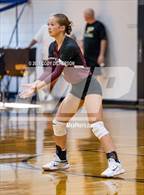 Photo from the gallery "Mildred @ Palmer"