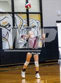Photo from the gallery "Mildred @ Palmer"