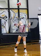 Photo from the gallery "Mildred @ Palmer"