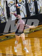 Photo from the gallery "Mildred @ Palmer"