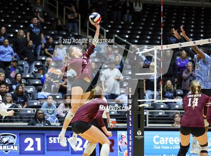 Thumbnail 1 in Harlan vs. Cinco Ranch (UIL 6A Volleyball Semifinal) photogallery.