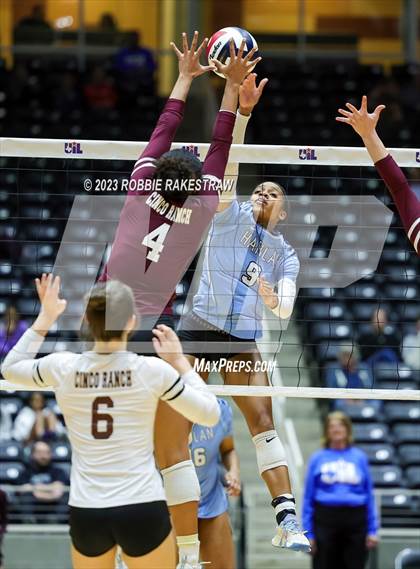 Thumbnail 2 in Harlan vs. Cinco Ranch (UIL 6A Volleyball Semifinal) photogallery.
