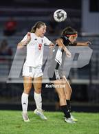 Photo from the gallery "London @ Amanda-Clearcreek"