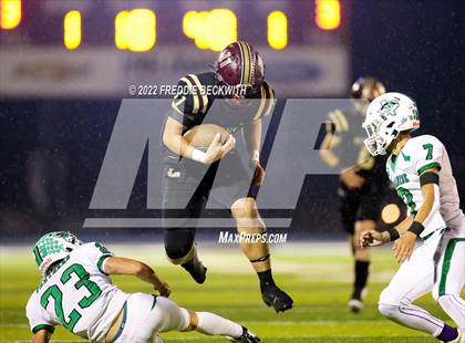 Thumbnail 1 in Paradise @ Whitesboro photogallery.