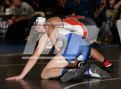 Thumbnail 2 in NIAA Wrestling Championships photogallery.
