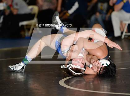Thumbnail 1 in NIAA Wrestling Championships photogallery.