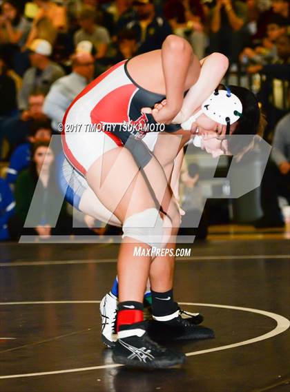Thumbnail 1 in NIAA Wrestling Championships photogallery.