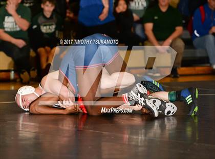 Thumbnail 3 in NIAA Wrestling Championships photogallery.