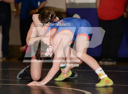 Thumbnail 2 in NIAA Wrestling Championships photogallery.