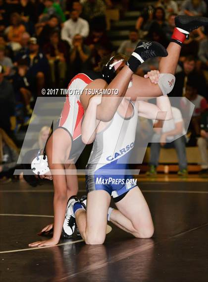 Thumbnail 2 in NIAA Wrestling Championships photogallery.