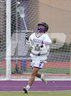 Photo from the gallery "Woodside @ Sequoia"